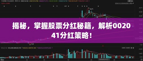 揭秘，掌握股票分紅秘籍，解析002041分紅策略！