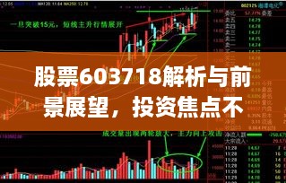 股票603718解析與前景展望，投資焦點不容錯過