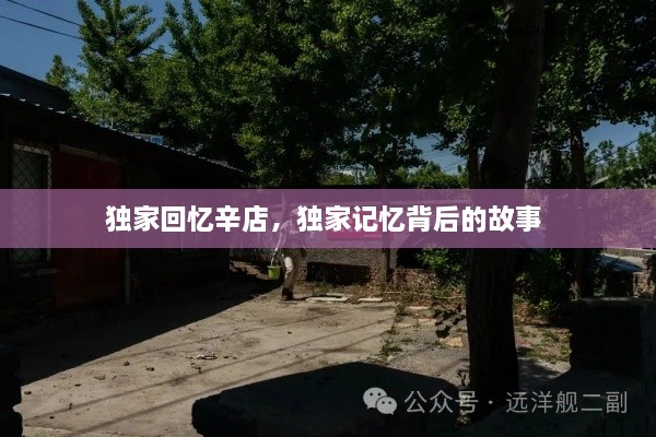 獨(dú)家回憶辛店，獨(dú)家記憶背后的故事 