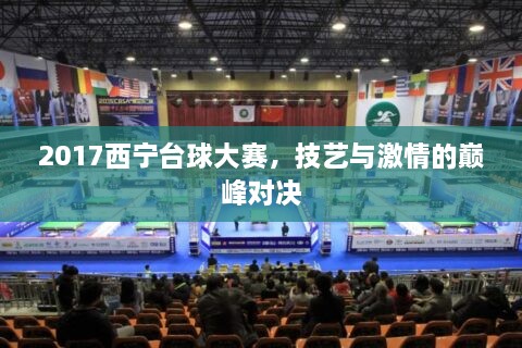 2017西寧臺球大賽，技藝與激情的巔峰對決