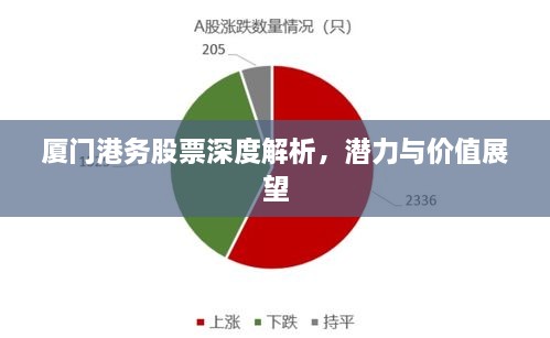 廈門港務(wù)股票深度解析，潛力與價(jià)值展望
