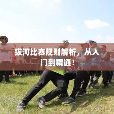 拔河比賽規(guī)則解析，從入門(mén)到精通！