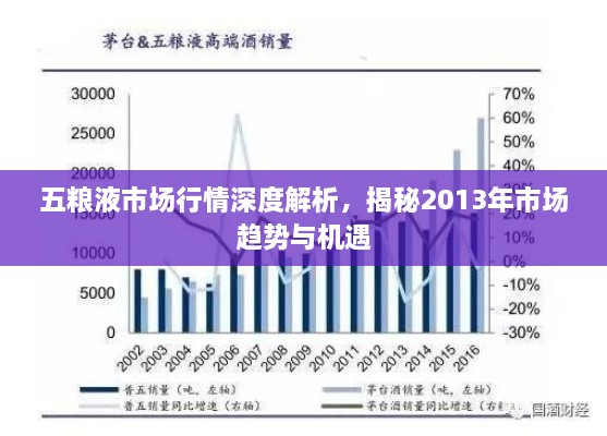 五糧液市場(chǎng)行情深度解析，揭秘2013年市場(chǎng)趨勢(shì)與機(jī)遇