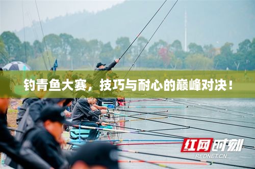 釣青魚(yú)大賽，技巧與耐心的巔峰對(duì)決！