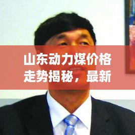 山東動力煤價格走勢揭秘，最新行情分析報告