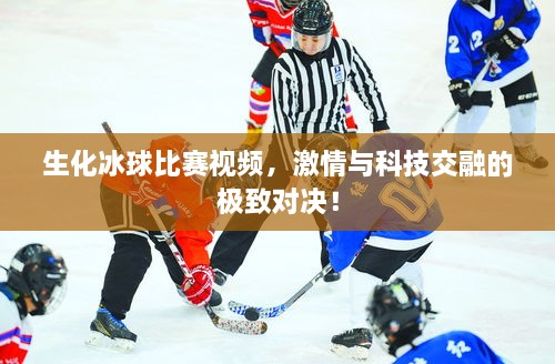 生化冰球比賽視頻，激情與科技交融的極致對(duì)決！