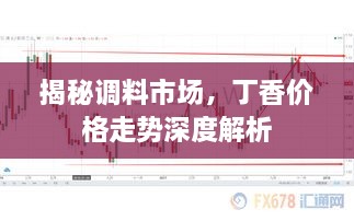 揭秘調(diào)料市場，丁香價格走勢深度解析