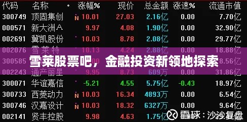 雪萊股票吧，金融投資新領地探索