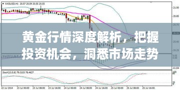 黃金行情深度解析，把握投資機會，洞悉市場走勢