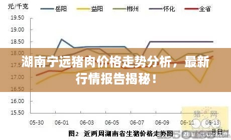 湖南寧遠(yuǎn)豬肉價格走勢分析，最新行情報(bào)告揭秘！