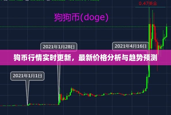 狗幣行情實(shí)時(shí)更新，最新價(jià)格分析與趨勢預(yù)測