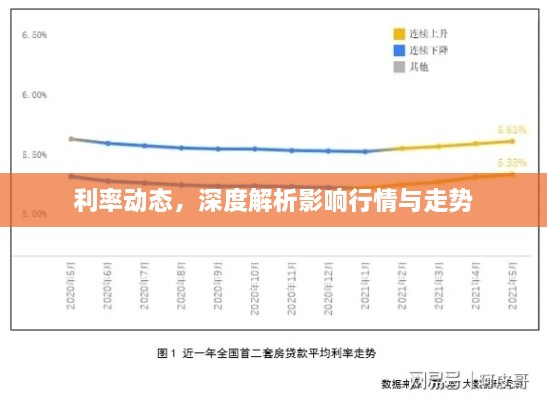 利率動態(tài)，深度解析影響行情與走勢