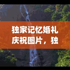 獨(dú)家記憶婚禮慶祝圖片，獨(dú)家記憶圖片唯美 