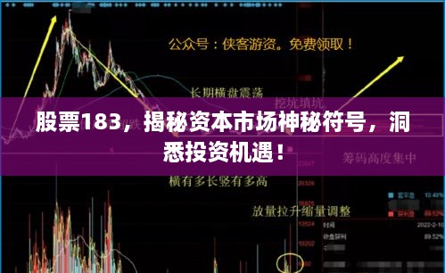 股票183，揭秘資本市場神秘符號，洞悉投資機(jī)遇！