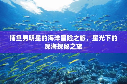 捕魚(yú)男明星的海洋冒險(xiǎn)之旅，星光下的深海探秘之旅