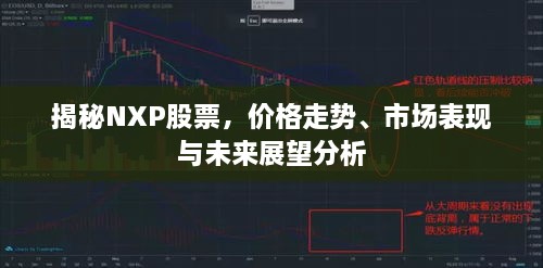 揭秘NXP股票，價(jià)格走勢(shì)、市場(chǎng)表現(xiàn)與未來展望分析