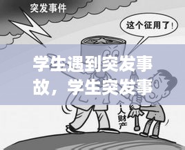 學(xué)生遇到突發(fā)事故，學(xué)生突發(fā)事件的處理原則 