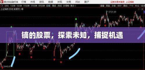 鏑的股票，探索未知，捕捉機(jī)遇
