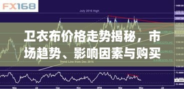 衛(wèi)衣布價格走勢揭秘，市場趨勢、影響因素與購買指南
