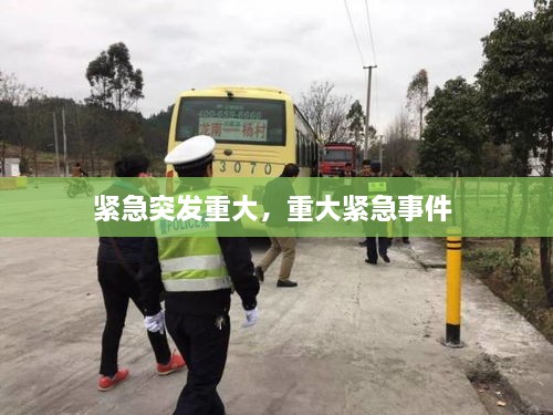 緊急突發(fā)重大，重大緊急事件 