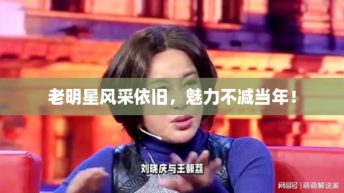 老明星風(fēng)采依舊，魅力不減當(dāng)年！