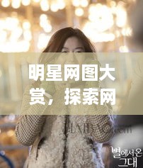 明星網(wǎng)圖大賞，探索網(wǎng)絡(luò)上的閃耀星辰之美