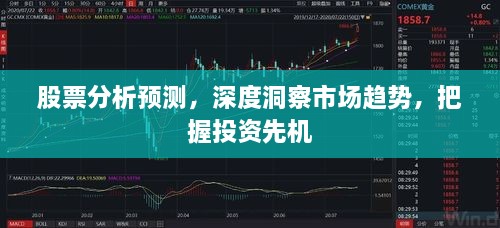 股票分析預(yù)測，深度洞察市場趨勢，把握投資先機(jī)