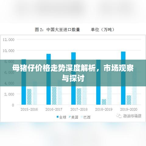 母豬仔價(jià)格走勢深度解析，市場觀察與探討