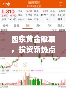 園東黃金股票，投資新熱點(diǎn)，財(cái)富新選擇