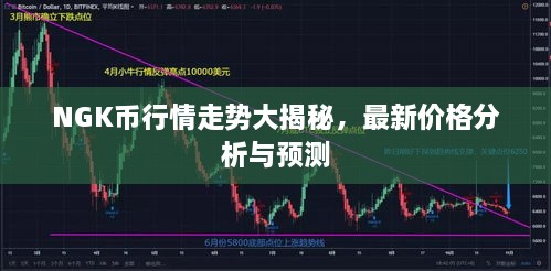 NGK幣行情走勢(shì)大揭秘，最新價(jià)格分析與預(yù)測(cè)