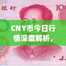 CNY幣今日行情深度解析，最新價格動態(tài)一網(wǎng)打盡！