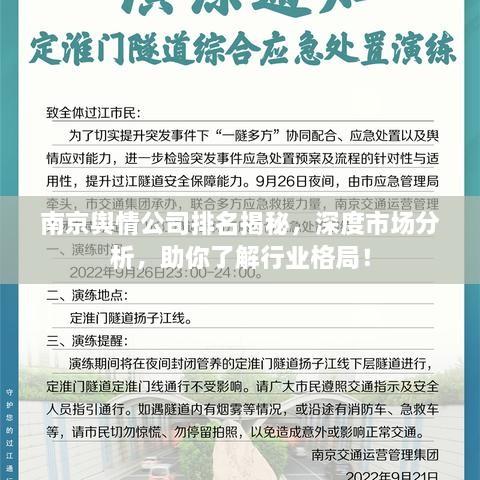 南京輿情公司排名揭秘，深度市場分析，助你了解行業(yè)格局！