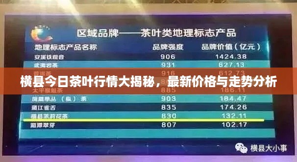 橫縣今日茶葉行情大揭秘，最新價(jià)格與走勢(shì)分析