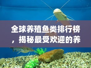 全球養(yǎng)殖魚類排行榜，揭秘最受歡迎的養(yǎng)殖魚類種類！