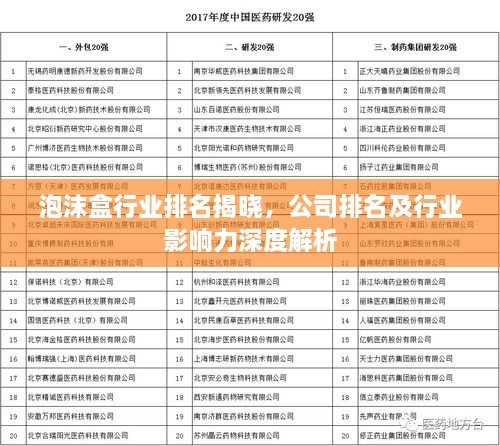泡沫盒行業(yè)排名揭曉，公司排名及行業(yè)影響力深度解析