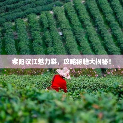 紫陽漢江魅力游，攻略秘籍大揭秘！