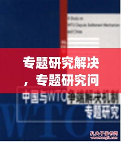 專題研究解決，專題研究問題 