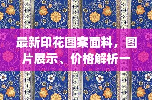 最新印花圖案面料，圖片展示、價格解析一網(wǎng)打盡