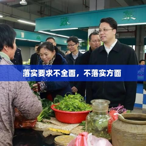 落實要求不全面，不落實方面 
