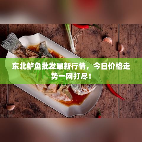 東北鱸魚批發(fā)最新行情，今日價格走勢一網(wǎng)打盡！