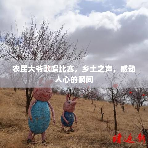 農(nóng)民大爺歌唱比賽，鄉(xiāng)土之聲，感動人心的瞬間