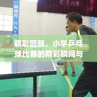 精彩回顧，小學乒乓球比賽的精彩瞬間與收獲總結