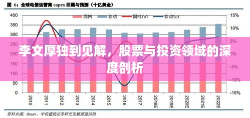 李文厚獨(dú)到見解，股票與投資領(lǐng)域的深度剖析