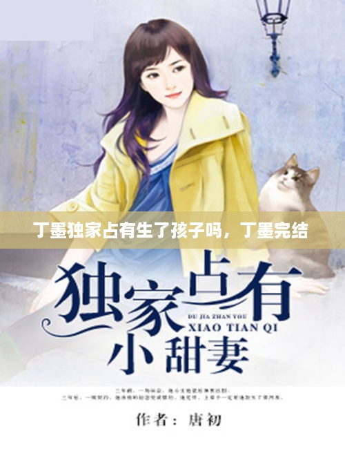 丁墨獨家占有生了孩子嗎，丁墨完結 
