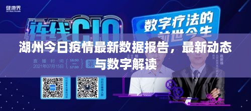 湖州今日疫情最新數(shù)據(jù)報告，最新動態(tài)與數(shù)字解讀