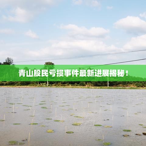 青山股民虧損事件最新進(jìn)展揭秘！