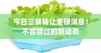 今日三餐轉(zhuǎn)讓重磅消息！不容錯(cuò)過(guò)的新動(dòng)態(tài)