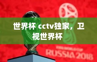 世界杯 cctv獨(dú)家，衛(wèi)視世界杯 