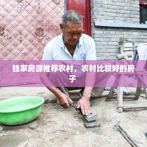 獨家房源推薦農(nóng)村，農(nóng)村比較好的房子 
