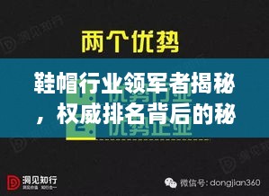 鞋帽行業(yè)領(lǐng)軍者揭秘，權(quán)威排名背后的秘密